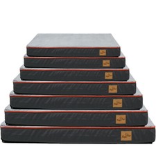 BingoPaw Orthopedic Pet Dog