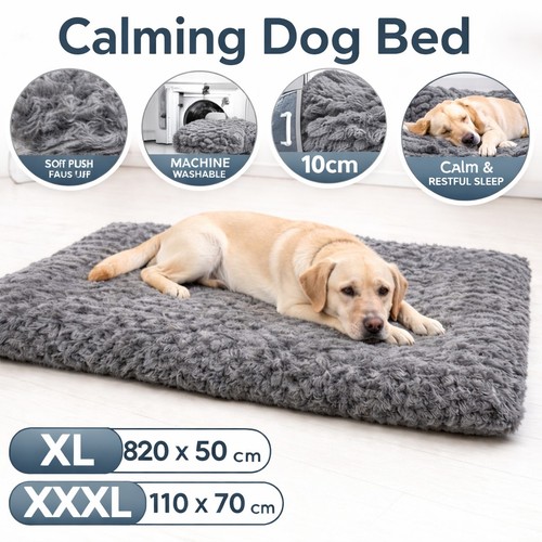 Large calming dog - calming, bed