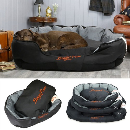 Xxl large jumbo - xxl, orthopedic