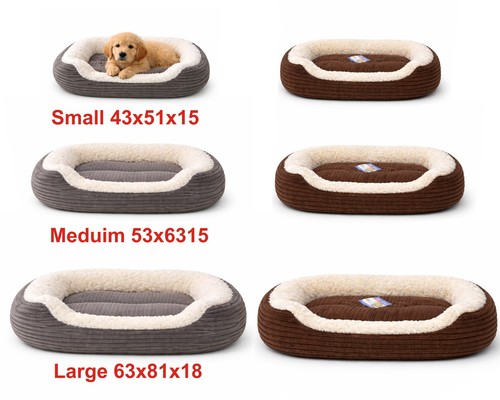 Pet dog bed cat puppy - cat,