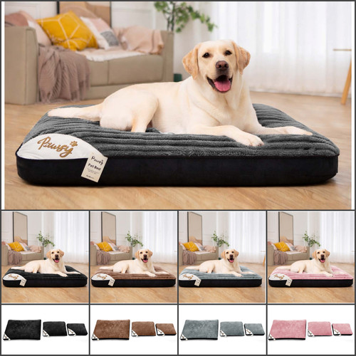 Extra large cat dog - cat, bed