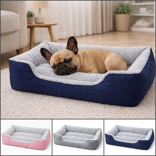 Extra large dog - bed, cat