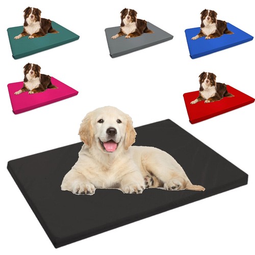 Memory foam pet - pet, mattress