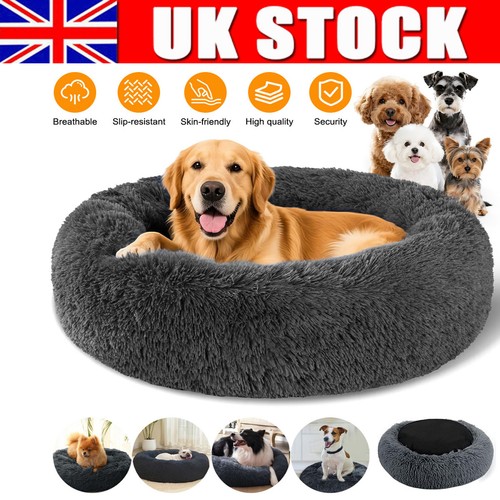 Comfy calming donut - donut, extra