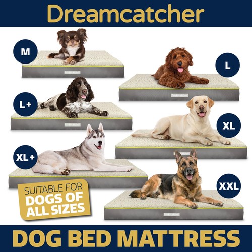 Dreamcatcher dog bed - dreamcatcher,